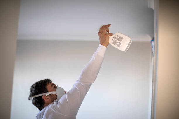 Best Fast Mold Removal  in Fishhook, AK