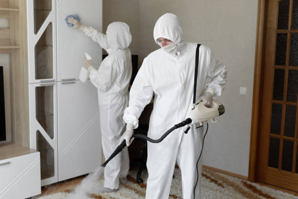 Best Office Mold Removal Services  in Fishhook, AK
