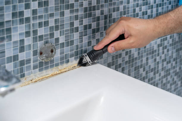 Best Mold Remediation  in Fishhook, AK