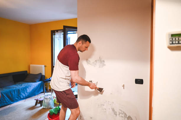Best Water Damage Restoration  in Fishhook, AK